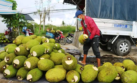Dạo quanh thị trường