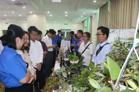 Phấn đấu hỗ trợ 700 dự án khởi nghiệp sáng tạo của thanh niên