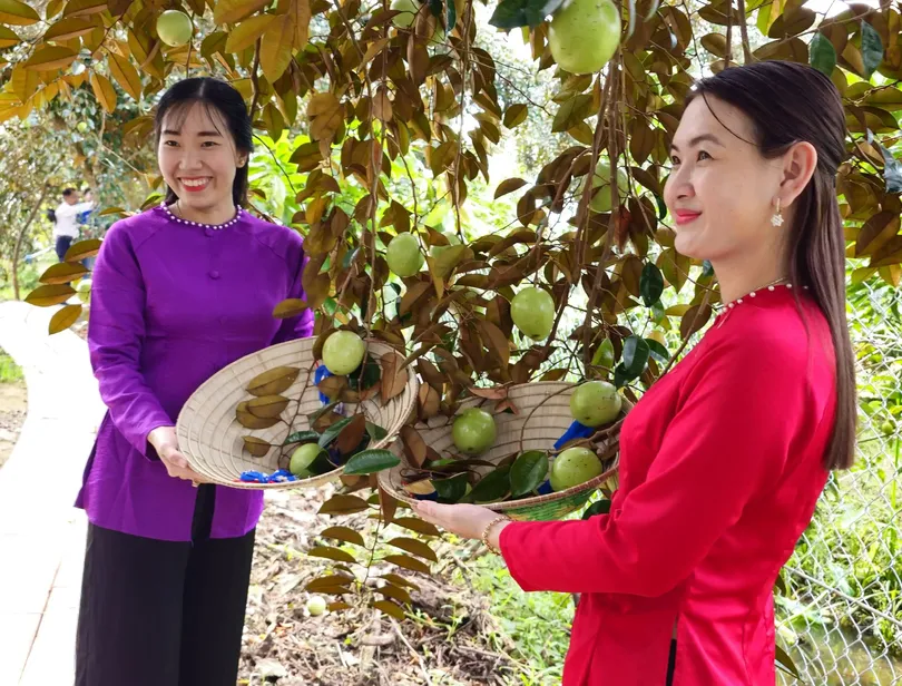 Thúc đẩy phát triển nông nghiệp thành phố