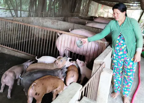 Dạo quanh thị trường