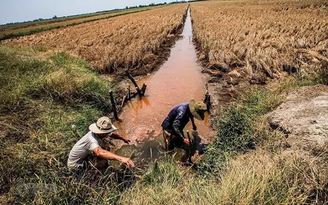 Thủ tướng chỉ đạo tập trung ứng phó đợt xâm nhập mặn cao điểm tại ĐBSCL