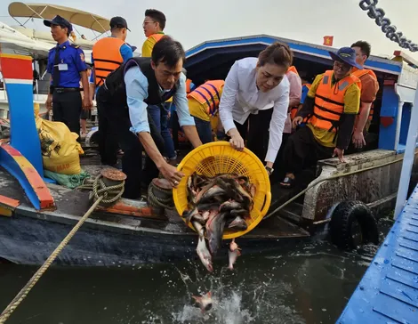 Thả 50 tấn cá tra xuống sông Hậu