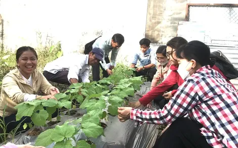 Hướng đến hiệu quả đào tạo nghề nông nghiệp 