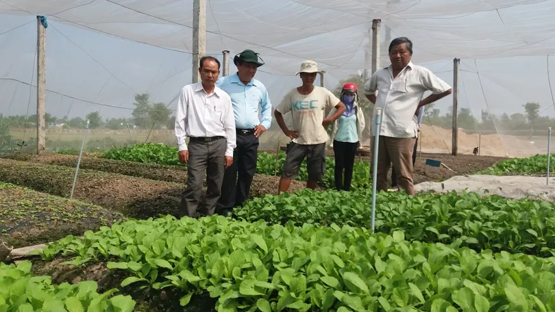 Sản xuất nông nghiệp thích ứng khô hạn, xâm nhập mặn
