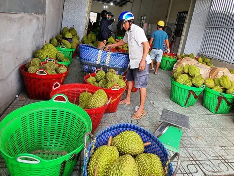 Dạo quanh thị trường
