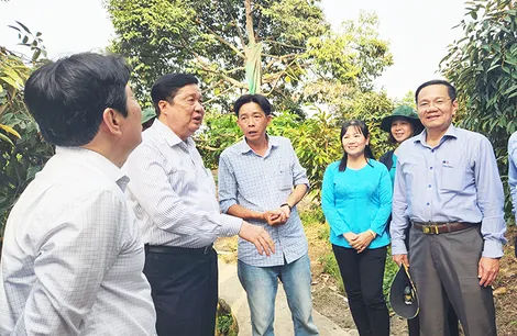 Lãnh đạo thành phố thăm một số mô hình kinh tế tại quận Cái Răng