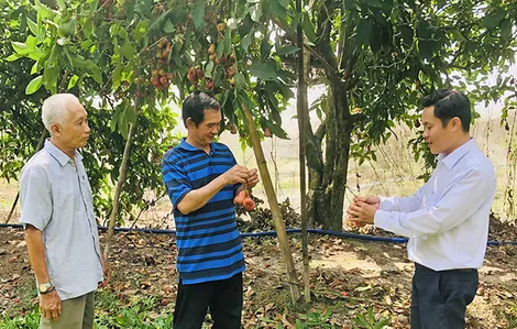Phát huy hiệu quả mô hình Dân vận khéo