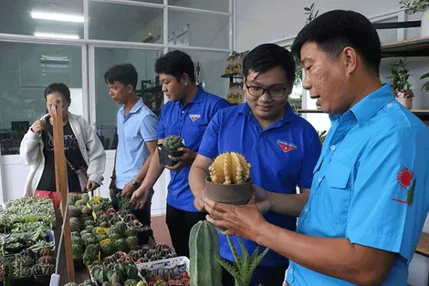 Kết nối, hỗ trợ 10 dự án khởi nghiệp của thanh niên