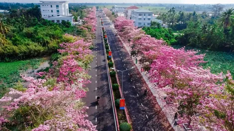 Những cung đường rực rỡ sắc hoa