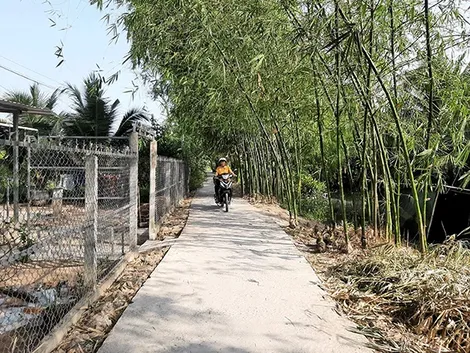 Cùng làm theo lời Bác Hồ dạy