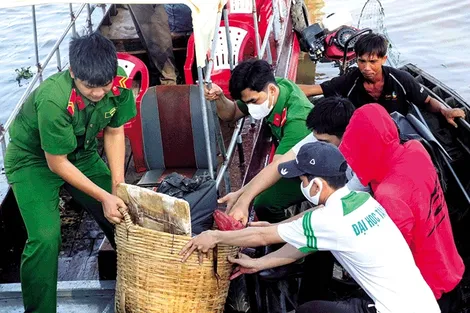 Chính sách đối với thanh niên xung phong, thanh niên tình nguyện