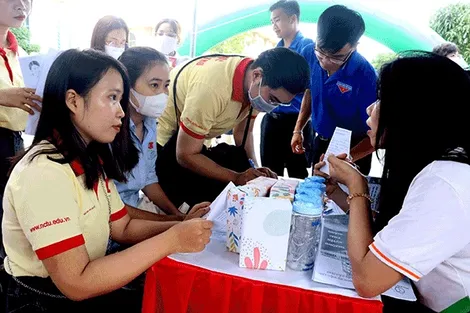 Quyền, nghĩa vụ của thanh niên và chính sách của Nhà nước đối với thanh niên