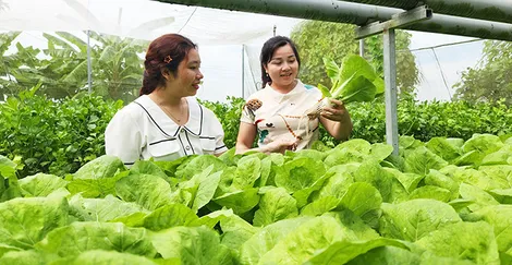 Điểm nhấn xã nông thôn mới kiểu mẫu Thới Hưng