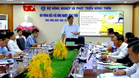 Đề xuất dự án hỗ trợ hạ tầng kỹ thuật cho lúa các-bon thấp vùng ĐBSCL