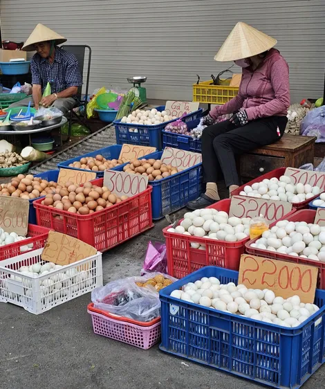 Dạo quanh thị trường