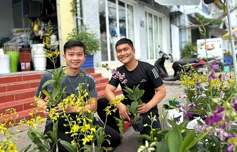 Khởi sự kinh doanh