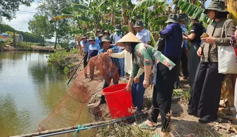 Chia sẻ, nhân rộng các mô hình nuôi tôm thân thiện với môi trường