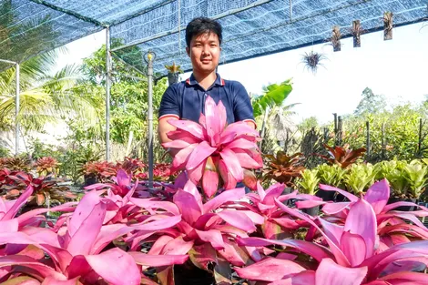 Chàng trai khởi nghiệp với loài cây không lớn lên từ đất