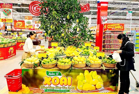 Khai mạc tuần lễ xoài các tỉnh ĐBSCL năm 2024