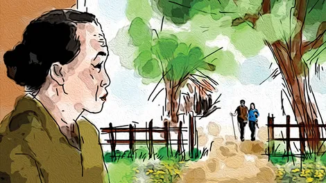 Sao nhái vàng thắp lửa
