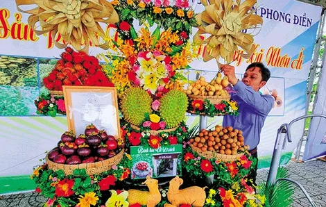 Phong Ðiền hỗ trợ nông dân phát huy hiệu quả vườn cây ăn trái
