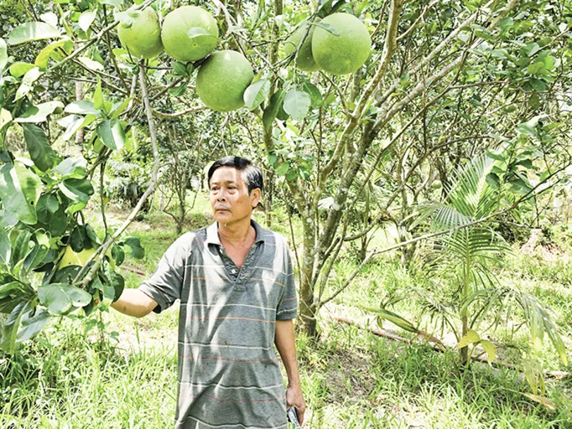 Thu nhập cao với mô hình làm vườn kết hợp kinh doanh