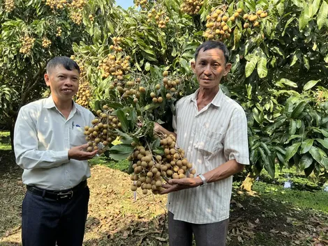 Xây dựng nhãn hiệu hàng hóa hướng đến hội nhập
