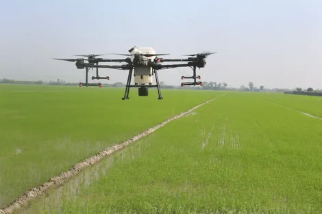 Hỗ trợ hạ tầng kỹ thuật cho mô hình lúa các-bon thấp