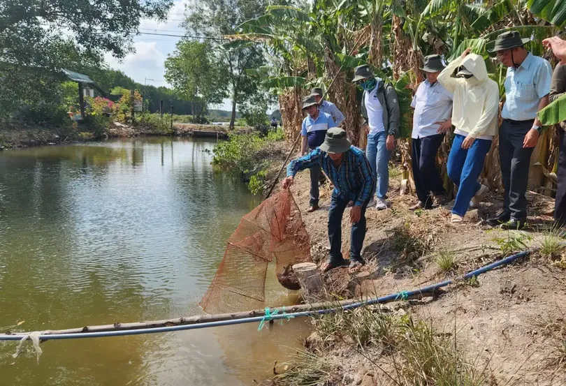 Hiến kế phát triển nông nghiệp thuận thiên tại ĐBSCL