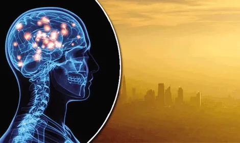 Ô nhiễm do khí thải giao thông đẩy nhanh quá trình khởi phát bệnh Alzheimer