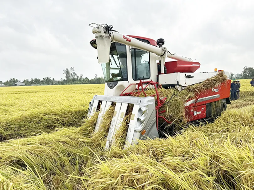 Chuyển đổi xanh  Hành động vì một Mekong Delta thịnh vượng, đáng sống