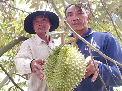 Những tỉ phú nông dân năng động