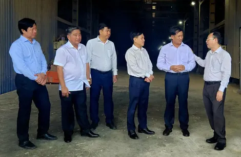 Lãnh đạo thành phố thăm một số doanh nghiệp sản xuất, kinh doanh lúa gạo