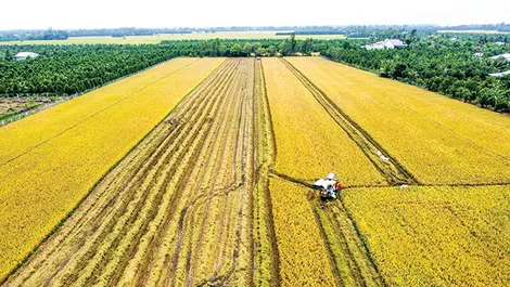 Chuyển đổi xanhHành động vì một Mekong Delta thịnh vượng, đáng sống