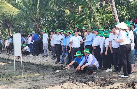 Khởi động Cánh đồng 1 triệu héc-ta lúa chất lượng cao, phát thải thấp