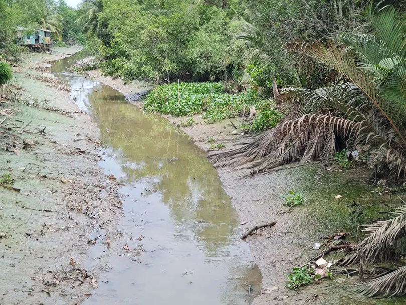 Xâm nhập mặn tiếp tục tăng cao ở ĐBSCL