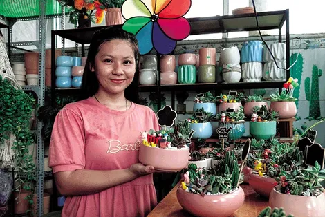 Khởi nghiệp với tiểu cảnh sen đá