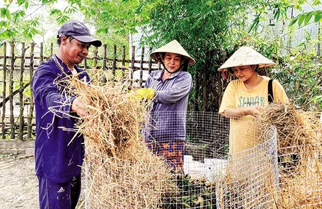 Niềm tin để làm nông