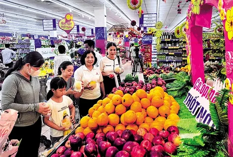Kinh tế - xã hội Thốt Nốt phát triển khá tốt, bền vững