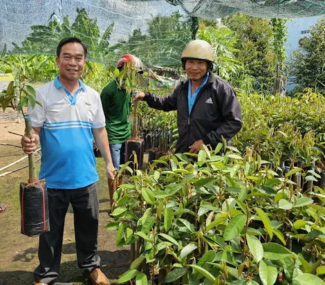 Dạo quanh thị trường