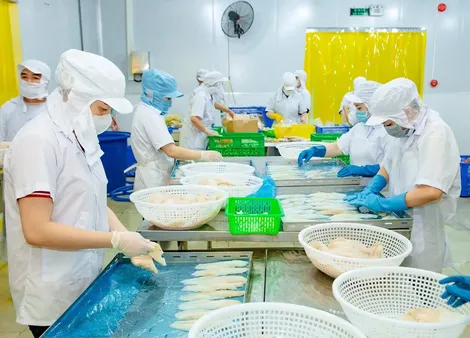 Xây dựng chuỗi giá trị sản phẩm bền vững trong khu vực kinh tế tập thể
