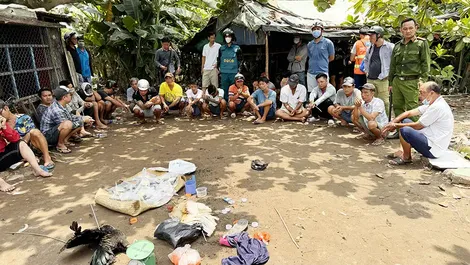 An Giang:  Triệt phá tụ điểm đá gà ăn tiền liên quan đến 22 đối tượng