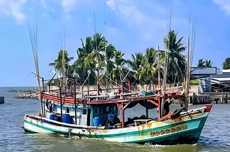 Nữ chủ tàu ở Cà Mau góp phần bảo vệ chủ quyền biển, đảo