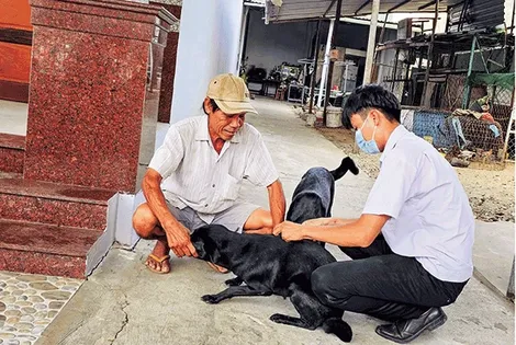 Phòng tránh bệnh dại trên đàn vật nuôi