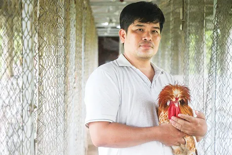 Mô hình “độc, lạ” - nuôi gà, vịt làm thú cưng