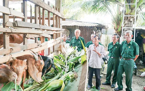 Nâng cao hiệu quả công tác Hội Cựu chiến binh