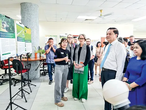 Tôn trọng quy luật tự nhiên ở ĐBSCL để phát triển kinh tế bền vững
