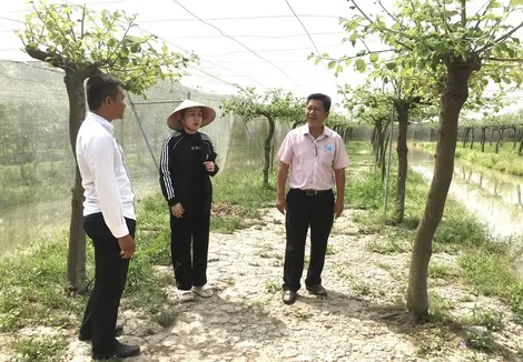 Hỗ trợ phát triển kinh tế gia đình