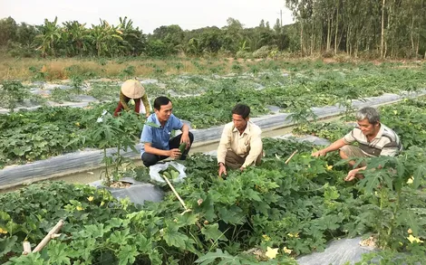 Trên 538 tỉ đồng thực hiện Chương trình mục tiêu quốc gia giảm nghèo bền vững năm 2024