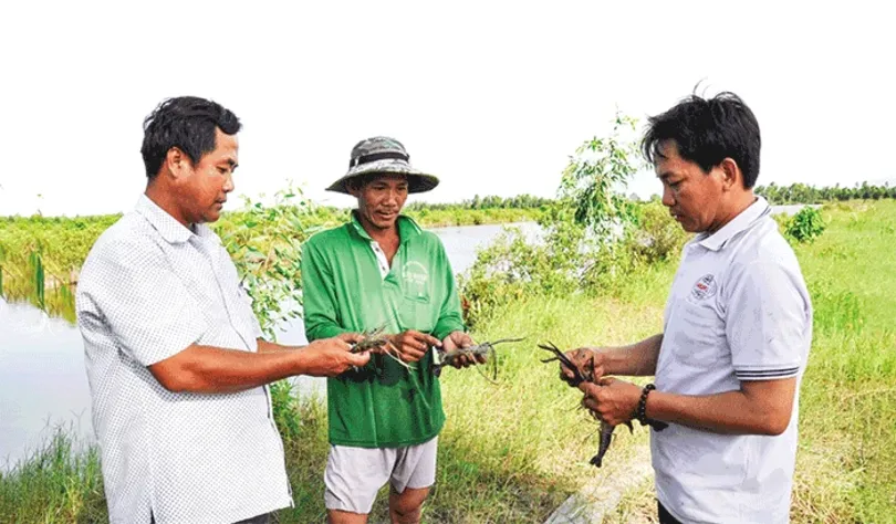 Thuận thiên để làm giàu